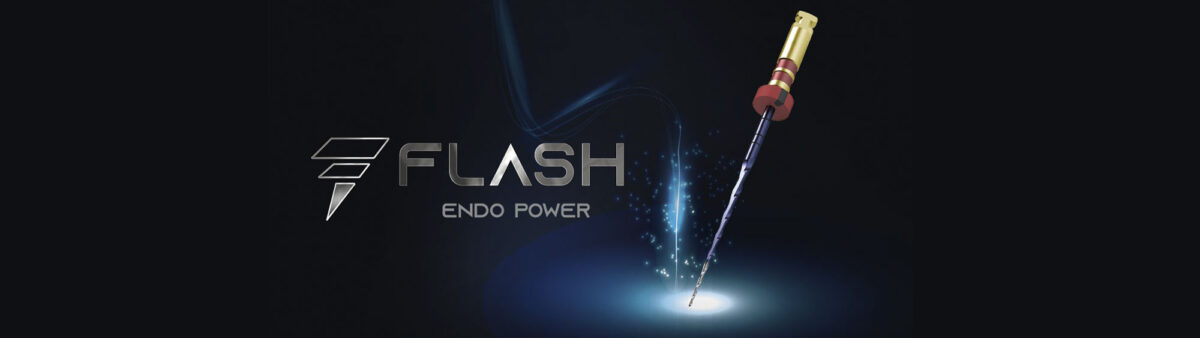 banner-flash-bondent